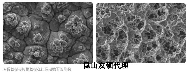 丰都蔡司丰都扫描电镜