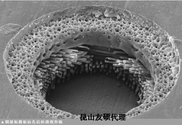 丰都蔡司丰都扫描电镜